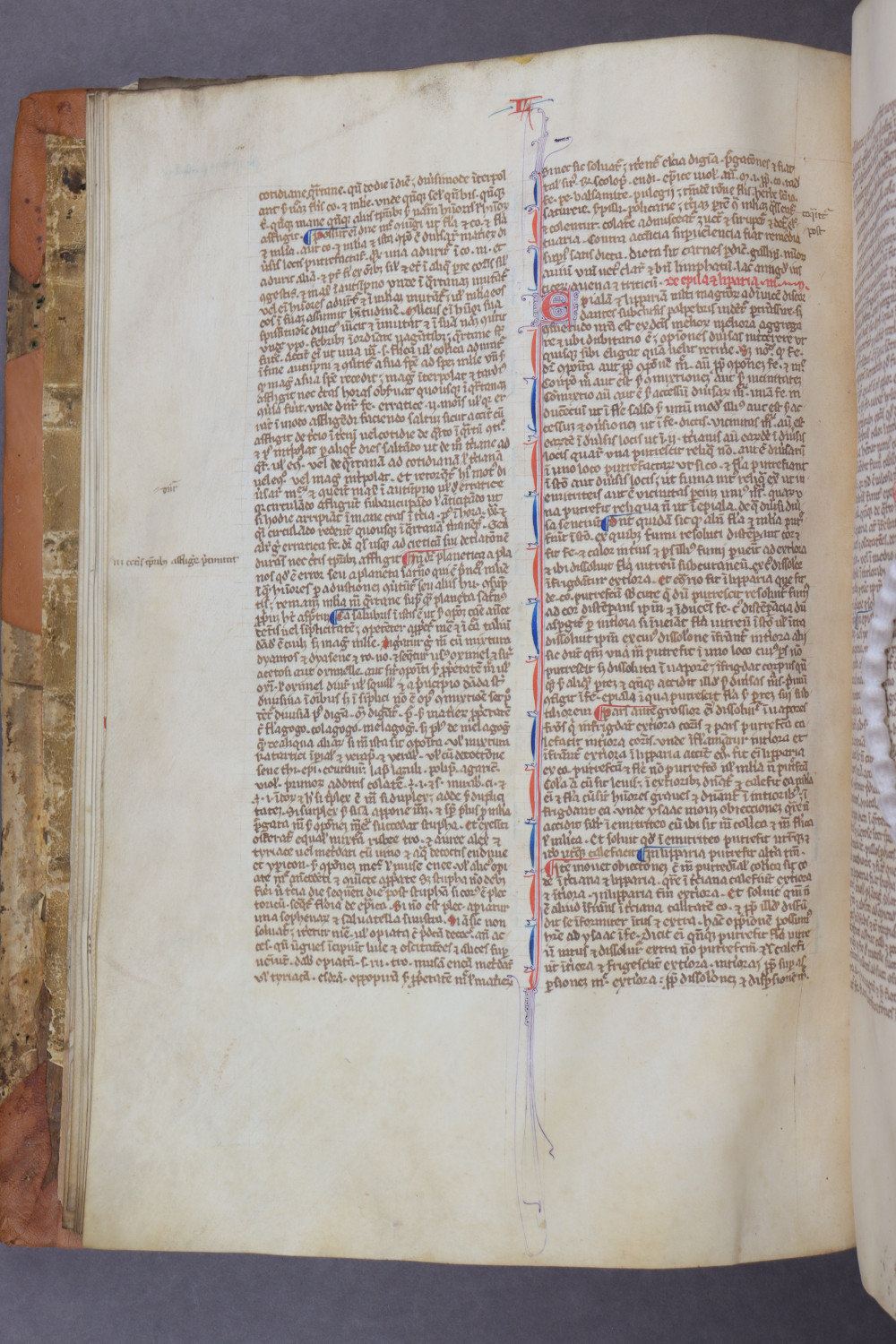 Folio 22 verso
